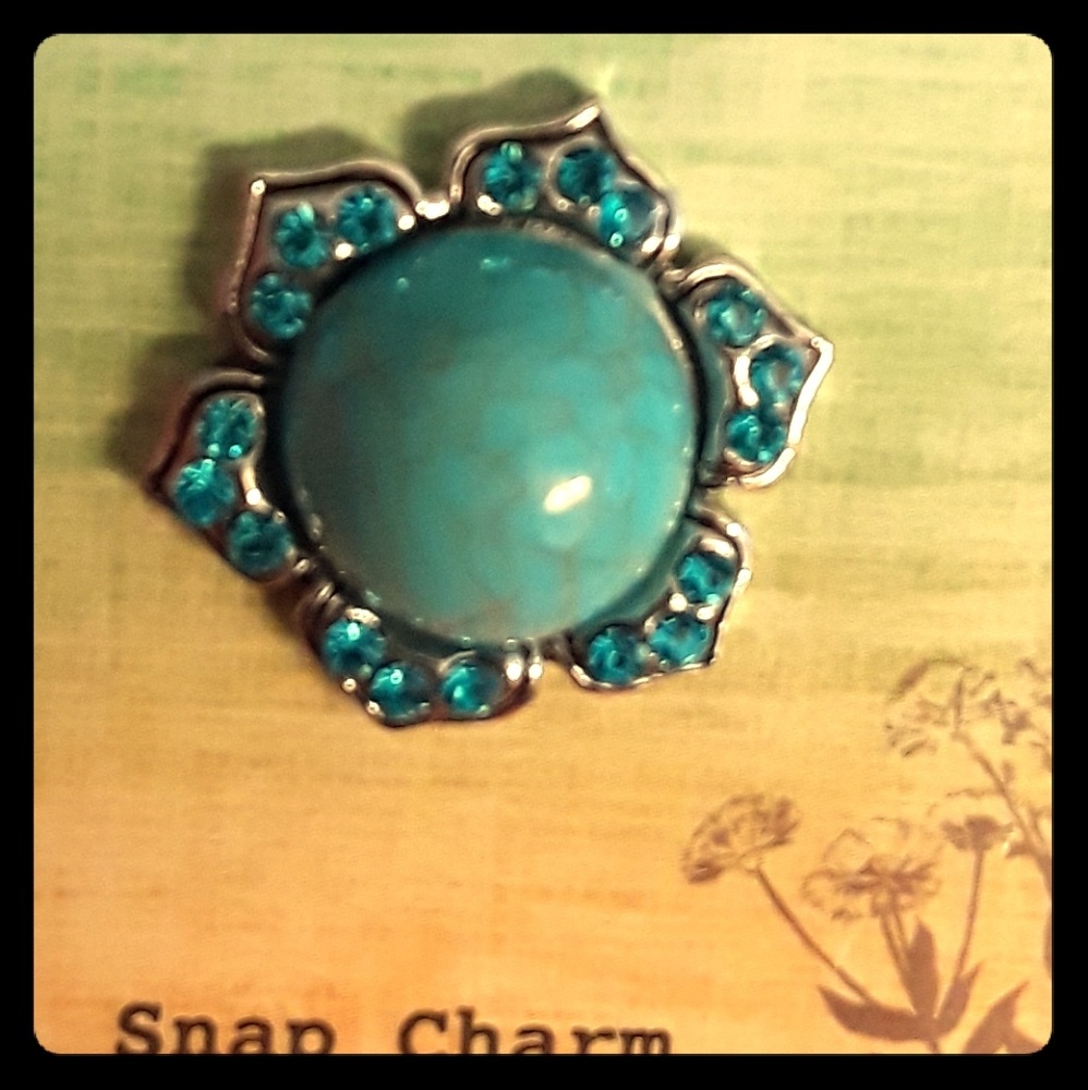 Snap charm